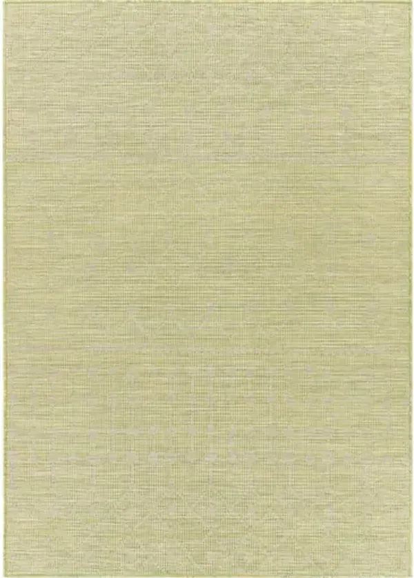 Pasadena 2'6" x 4' Rug