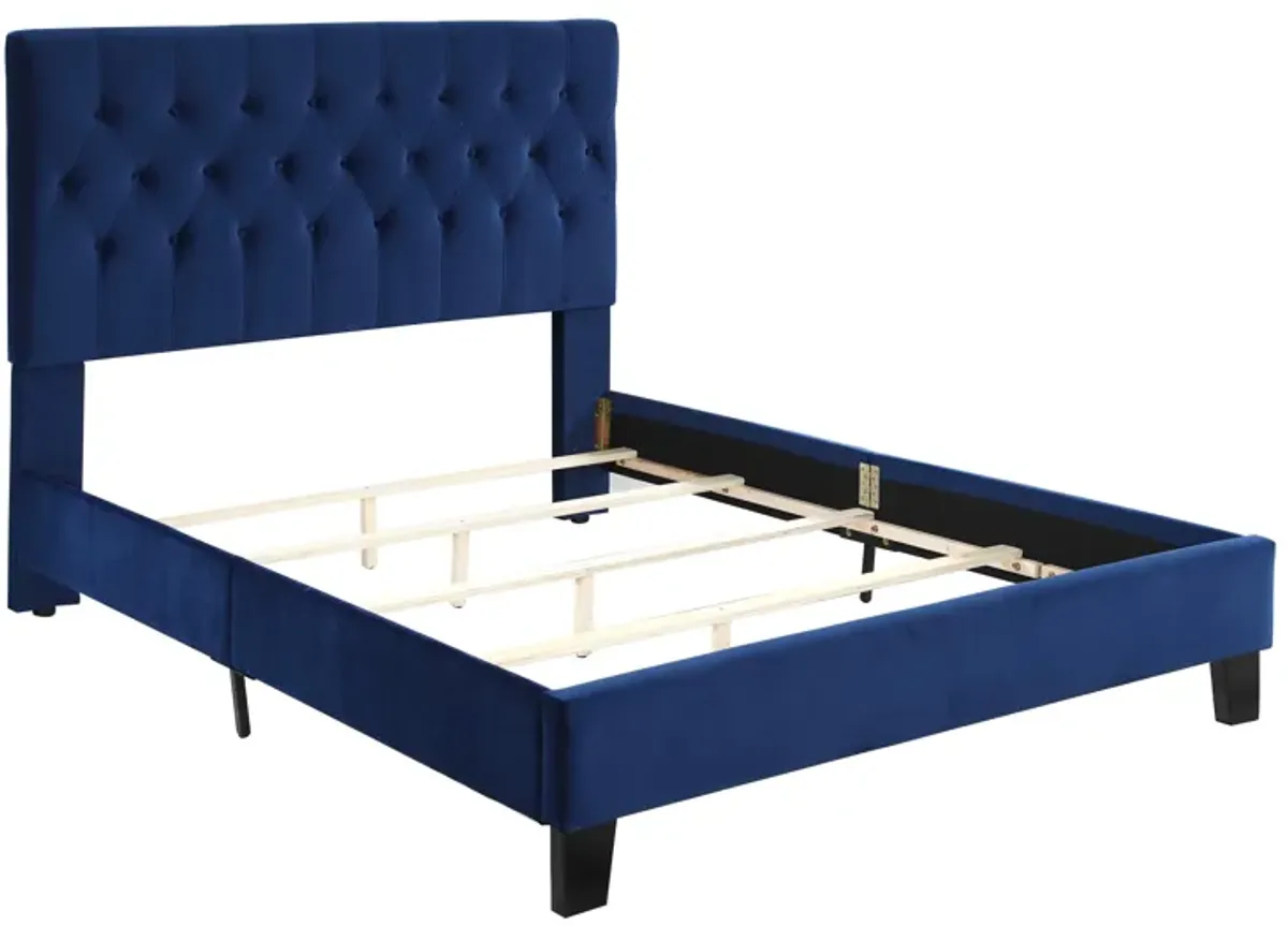 Amelia Queen Upholstered Bed