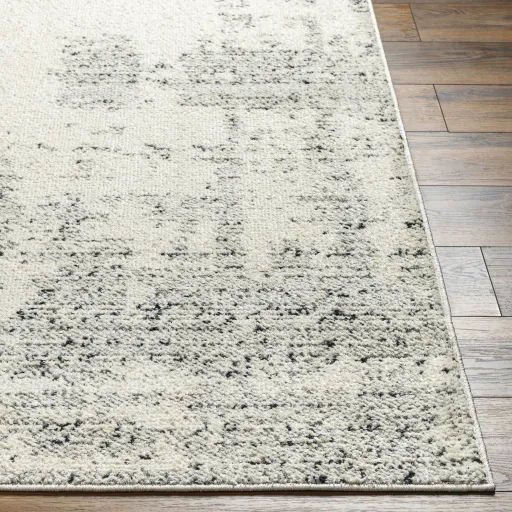 La Boheme LHB-2301 2'2" x 3'9" Machine Woven Rug