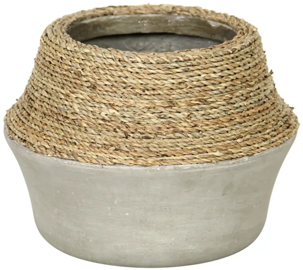 Nature Milk Jug Grass and Concrete Pot