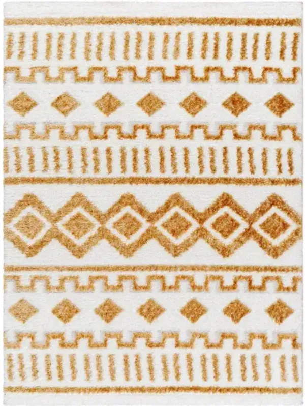 Nomadic NMC-2308 5'3" x 7' Machine Woven Rug