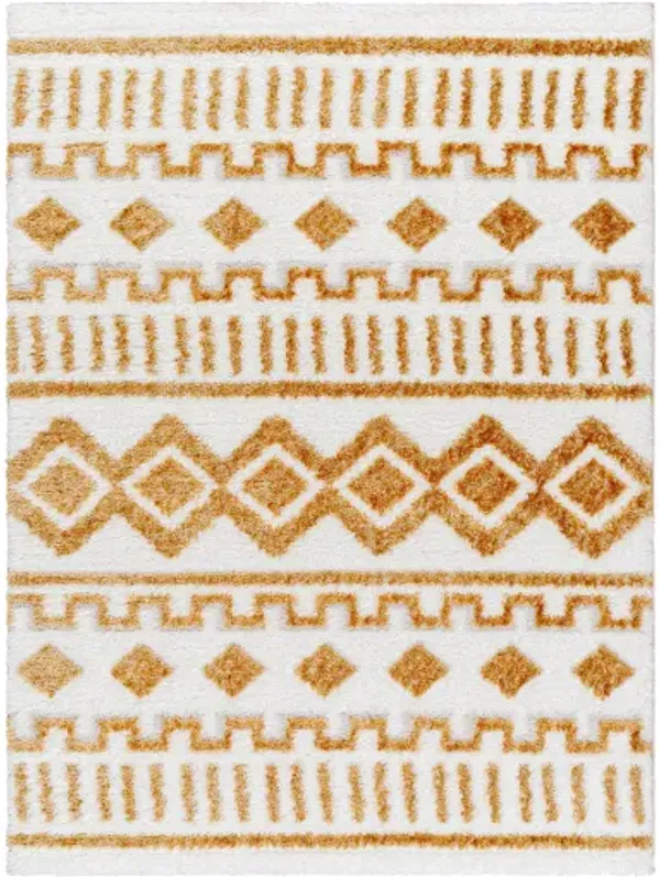 Nomadic NMC-2308 5'3" x 7' Machine Woven Rug