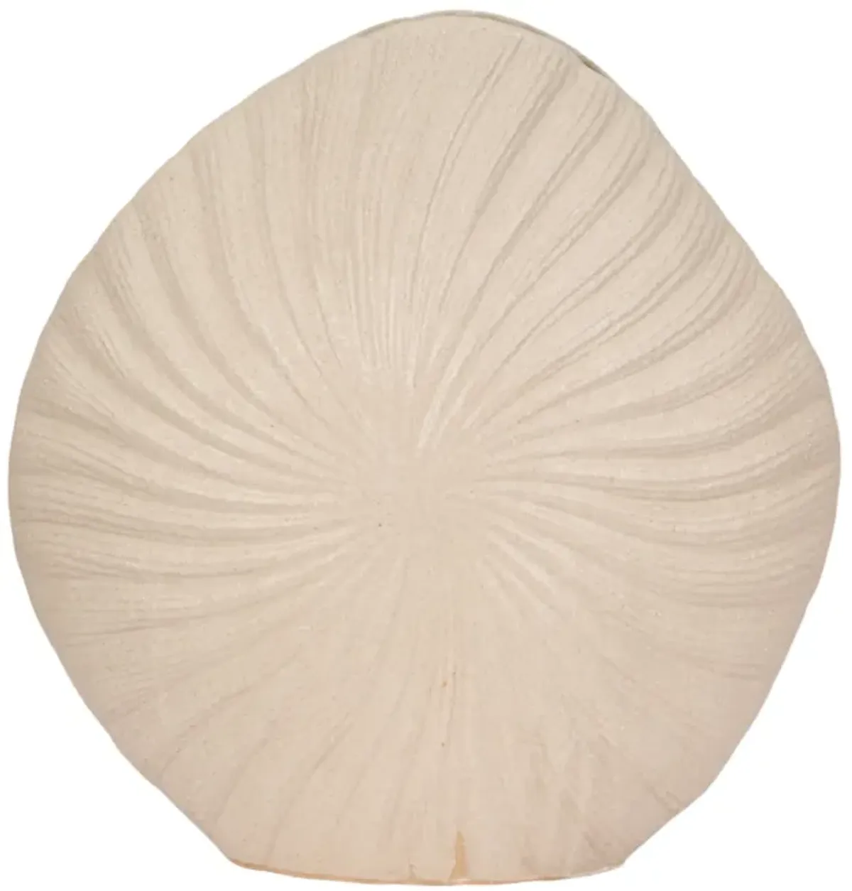 23" White Sand Shell Vase, White