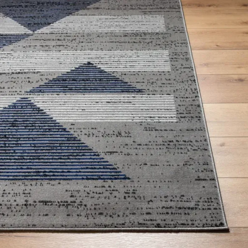 Pisa PSS-2379 6'7" x 9' Machine Woven Rug