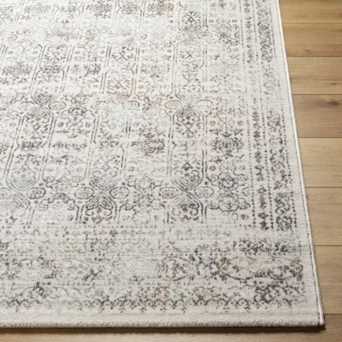 Roma ROM-2403 8'11" x 12'4" Machine Woven Rug