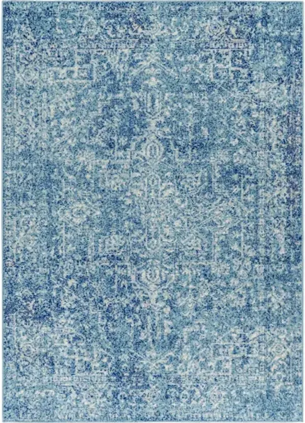 Harput 2' x 3' Rug