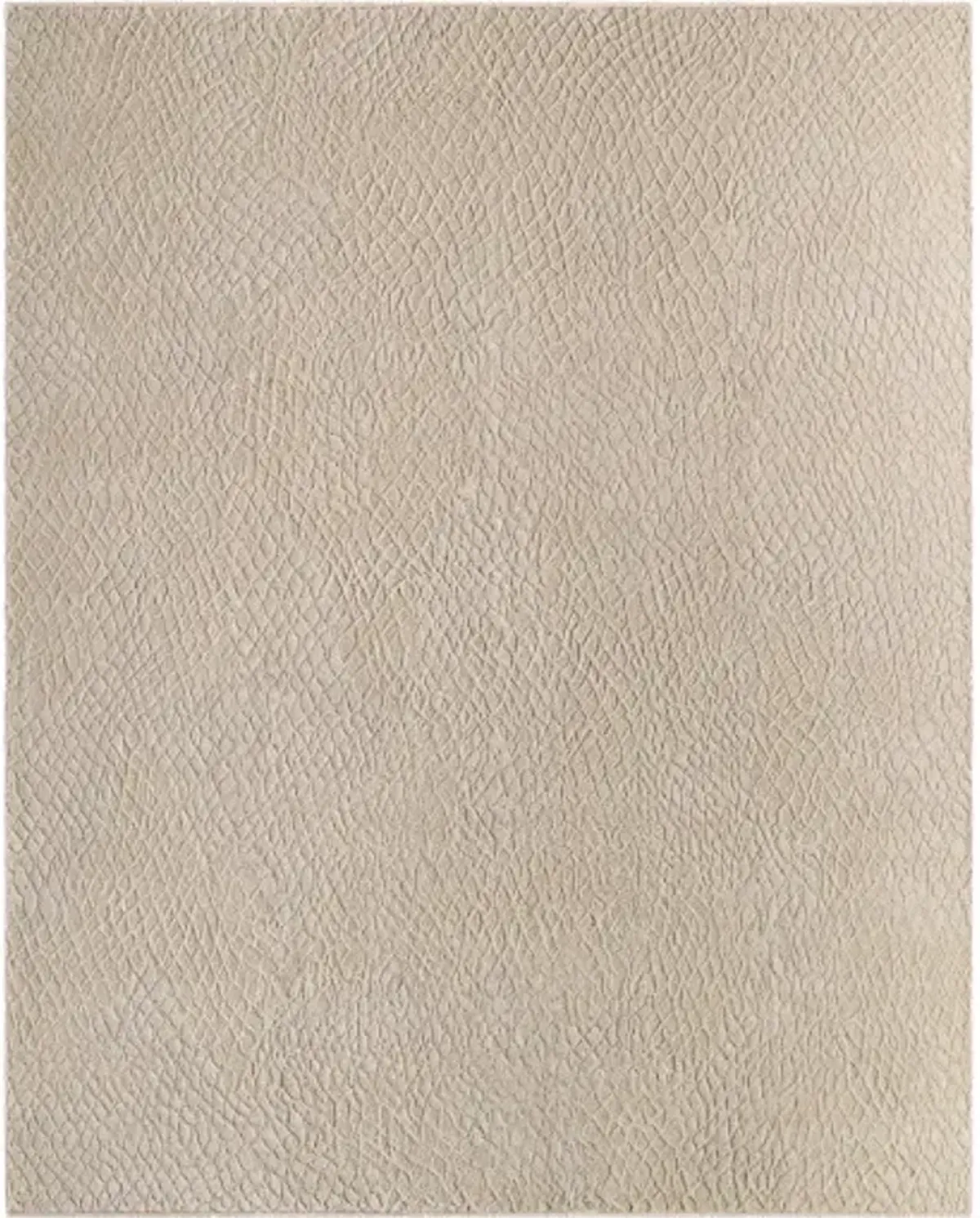 Reyyan RHE-2302 9' x 12' Handmade Rug