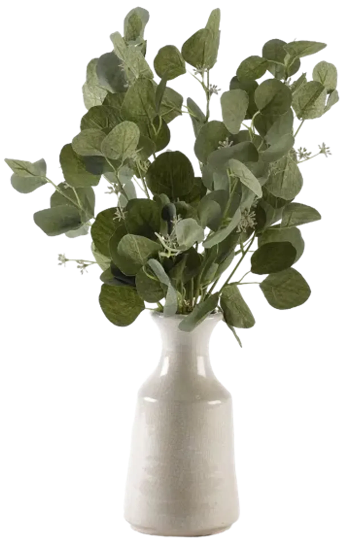 Silver Dollar Eucalyptus Branches in White Ceramic Bottle