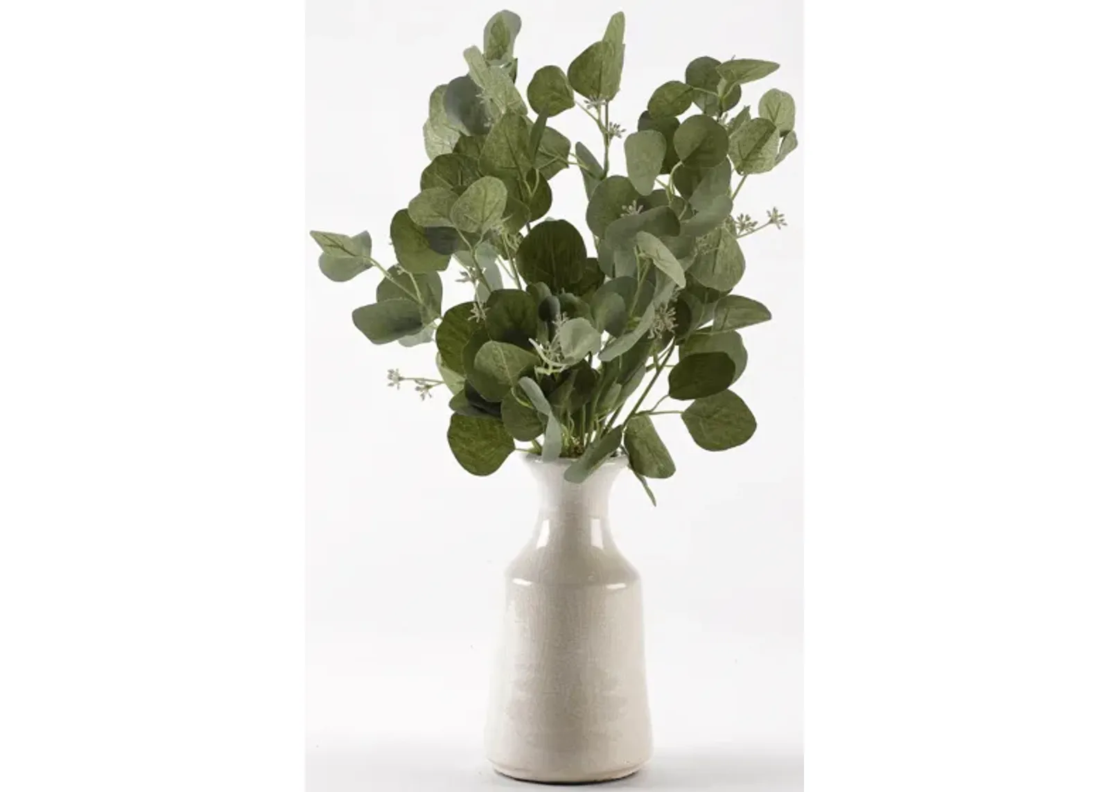 Silver Dollar Eucalyptus Branches in White Ceramic Bottle