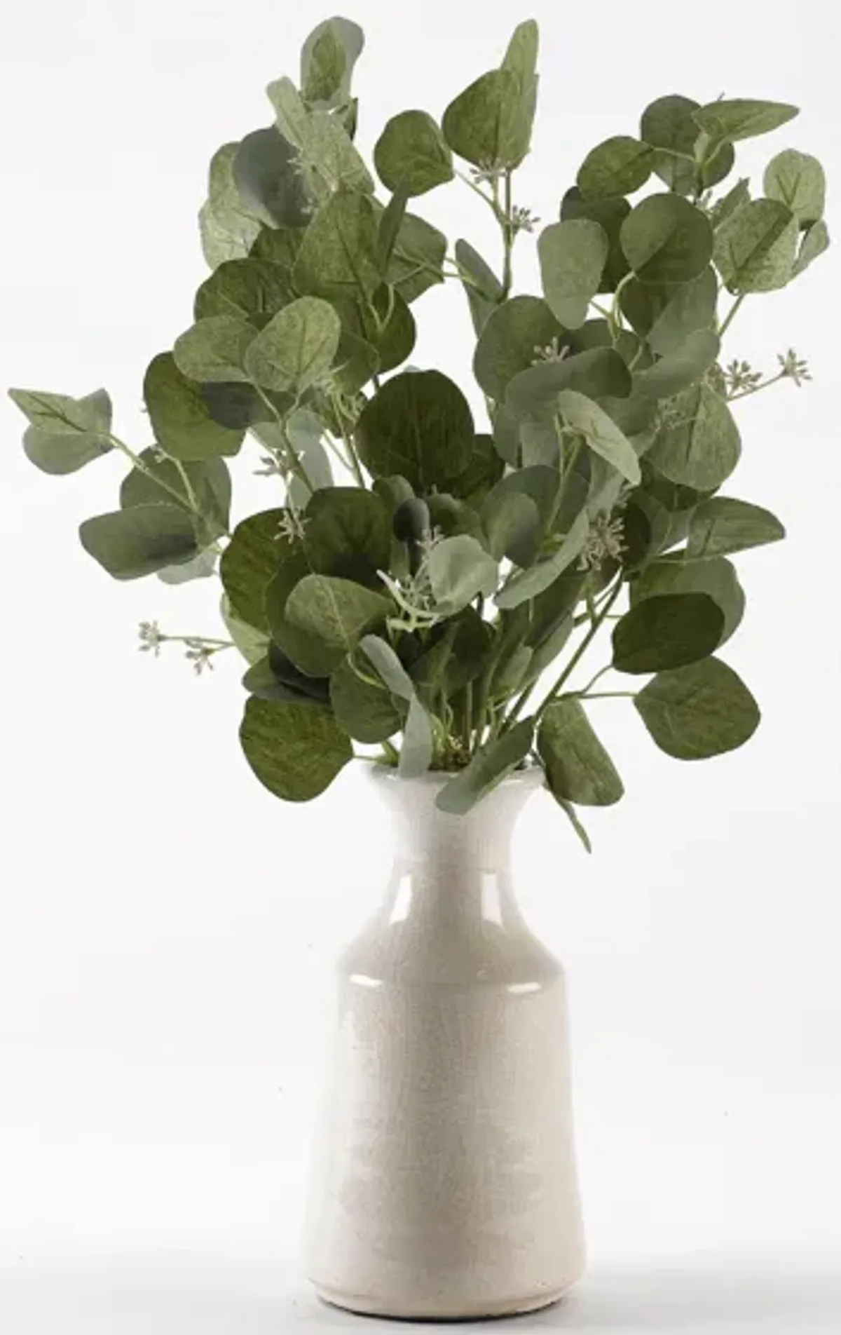 Silver Dollar Eucalyptus Branches in White Ceramic Bottle