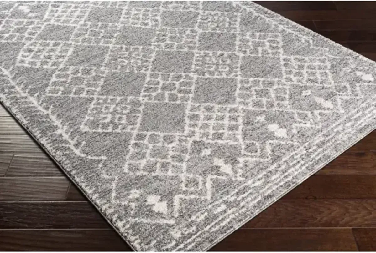 Andorra ARD-2308 6'7" x 9' Machine Woven Rug