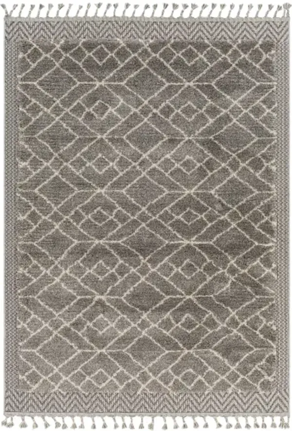 Sousse SUS-2306 2'10" x 10' Rug