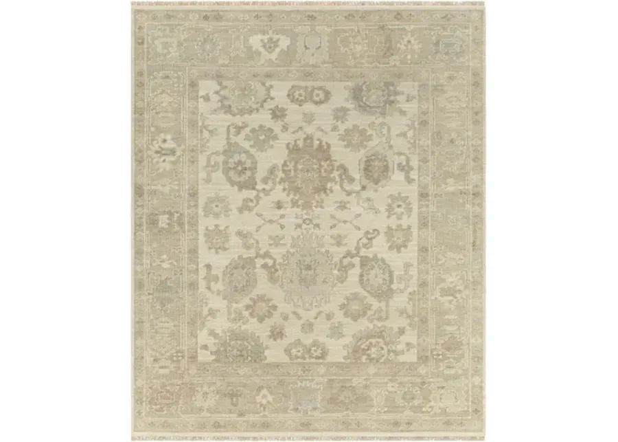 Antalya AAT-2304 8' x 10' Handmade Rug