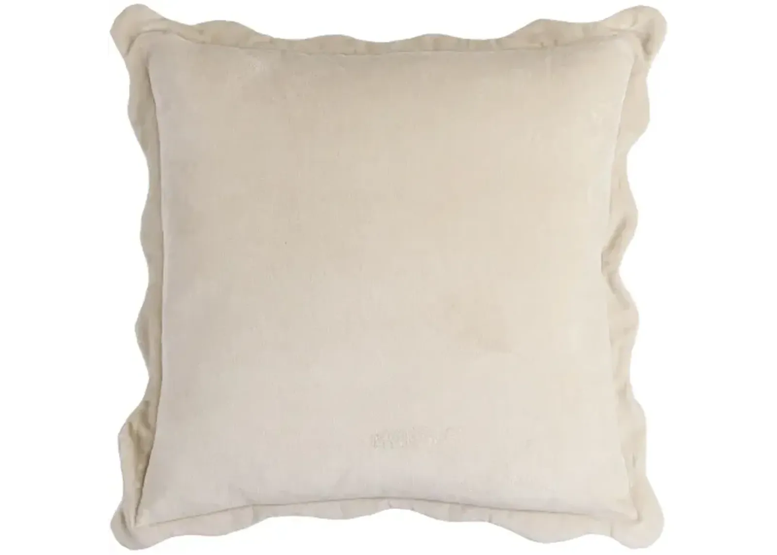 Effervescent EFC-006 22"L x 22"W Accent Pillow