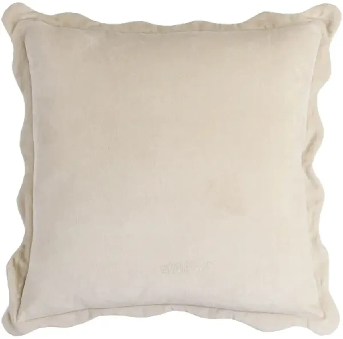 Effervescent EFC-006 22"L x 22"W Accent Pillow