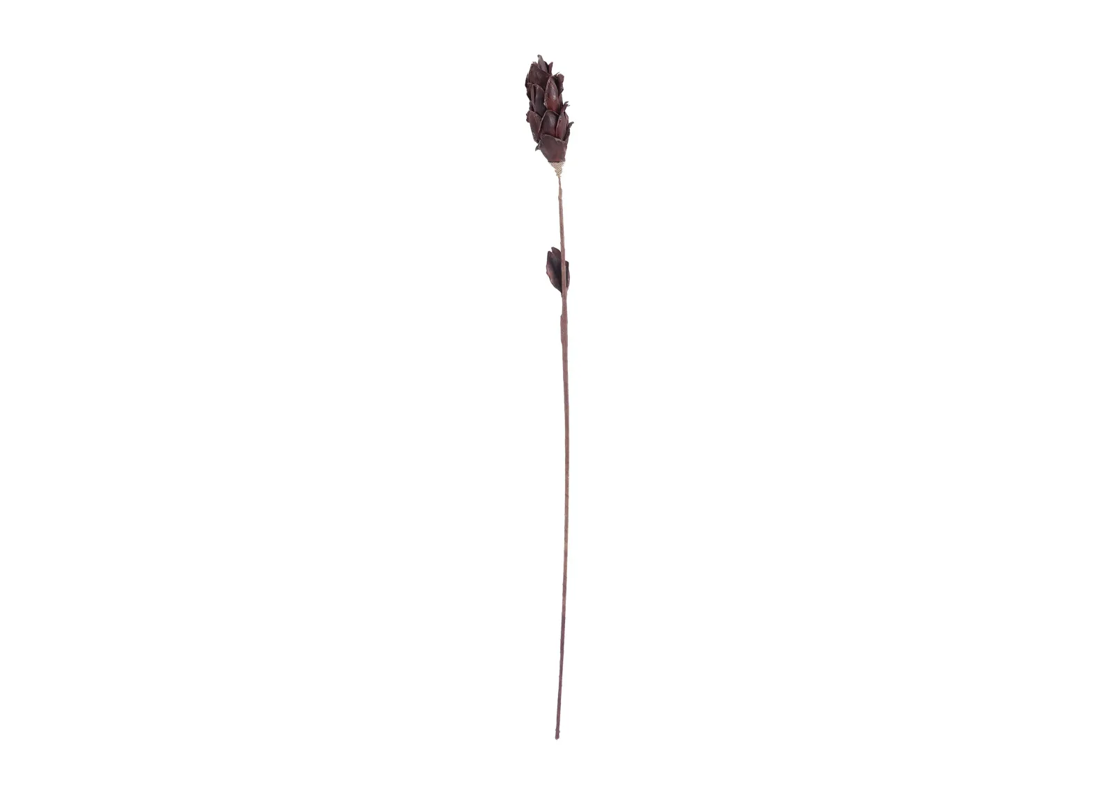 Black Corn Leaf Pole