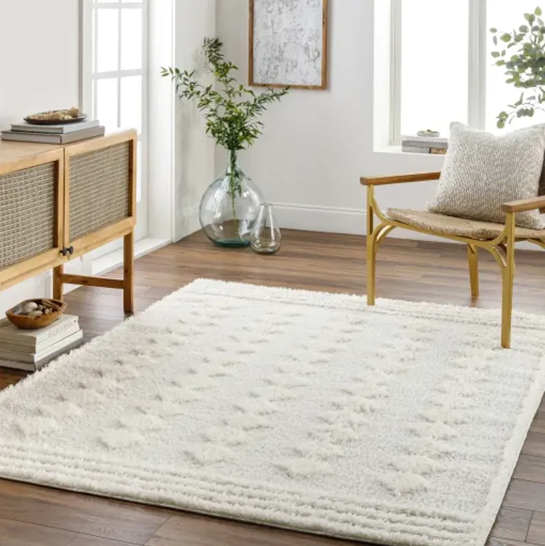 Rodos RDO-2319 6'7" x 9' Machine Woven Rug