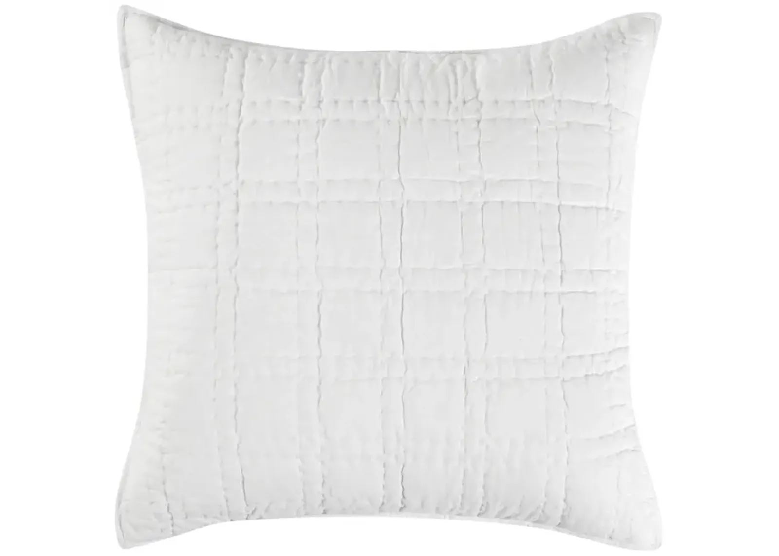 Hailee 100% Cotton White Euro Sham with Silvadur Tech