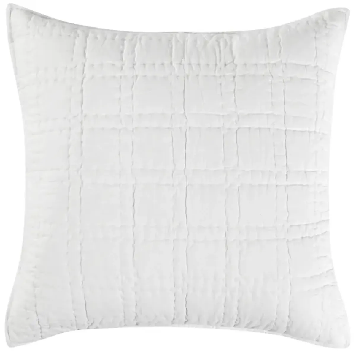 Hailee 100% Cotton White Euro Sham with Silvadur Tech