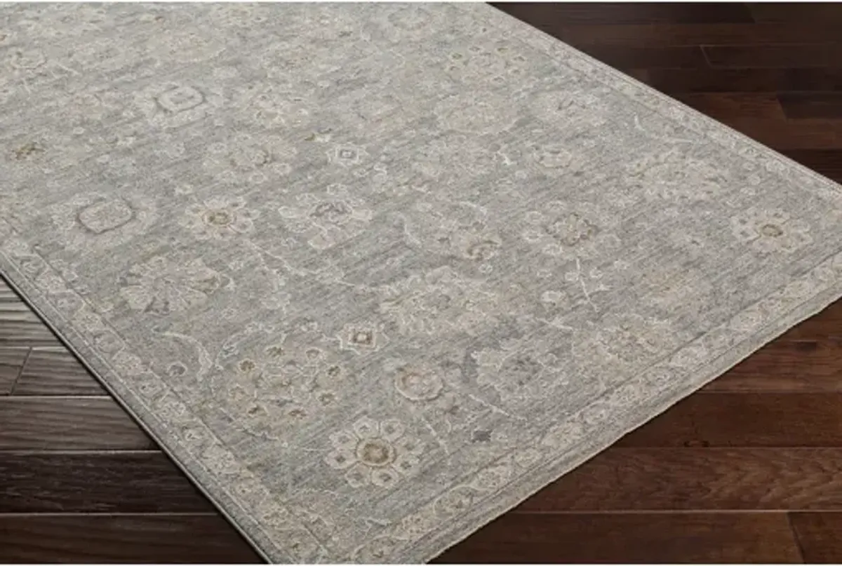 Avant Garde AVT-2335 2'7" x 7'3" Rug