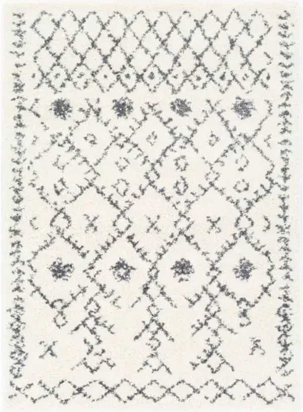 Maroc Shag 2' x 3' Rug