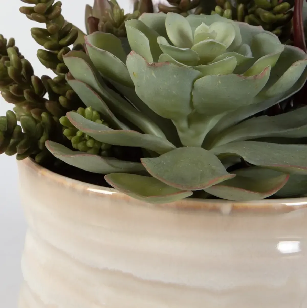 Mesa Succulent Accent