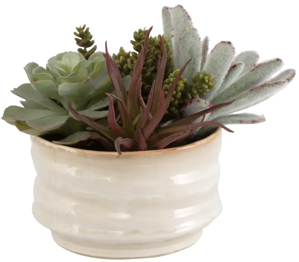 Mesa Succulent Accent