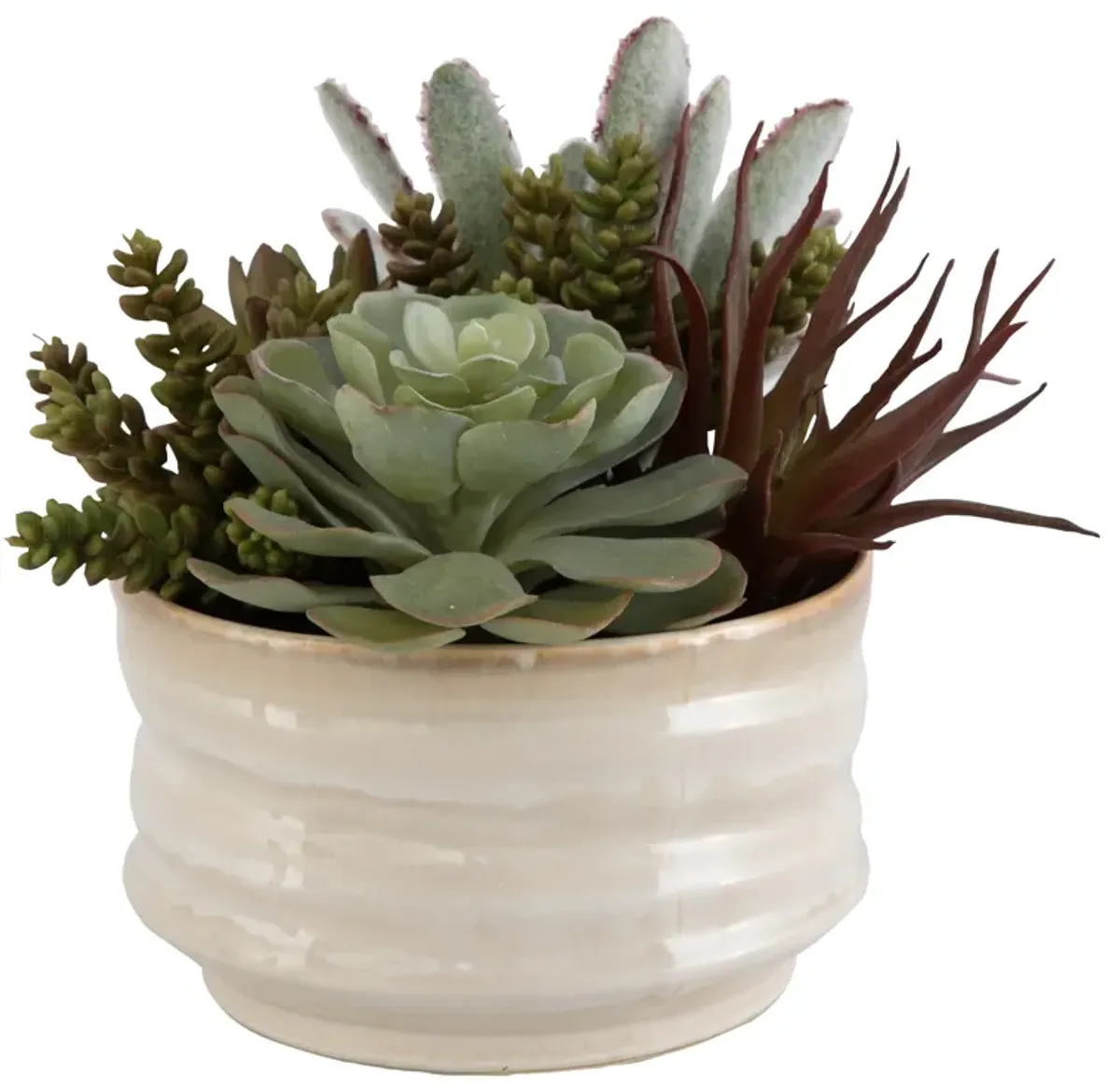 Mesa Succulent Accent