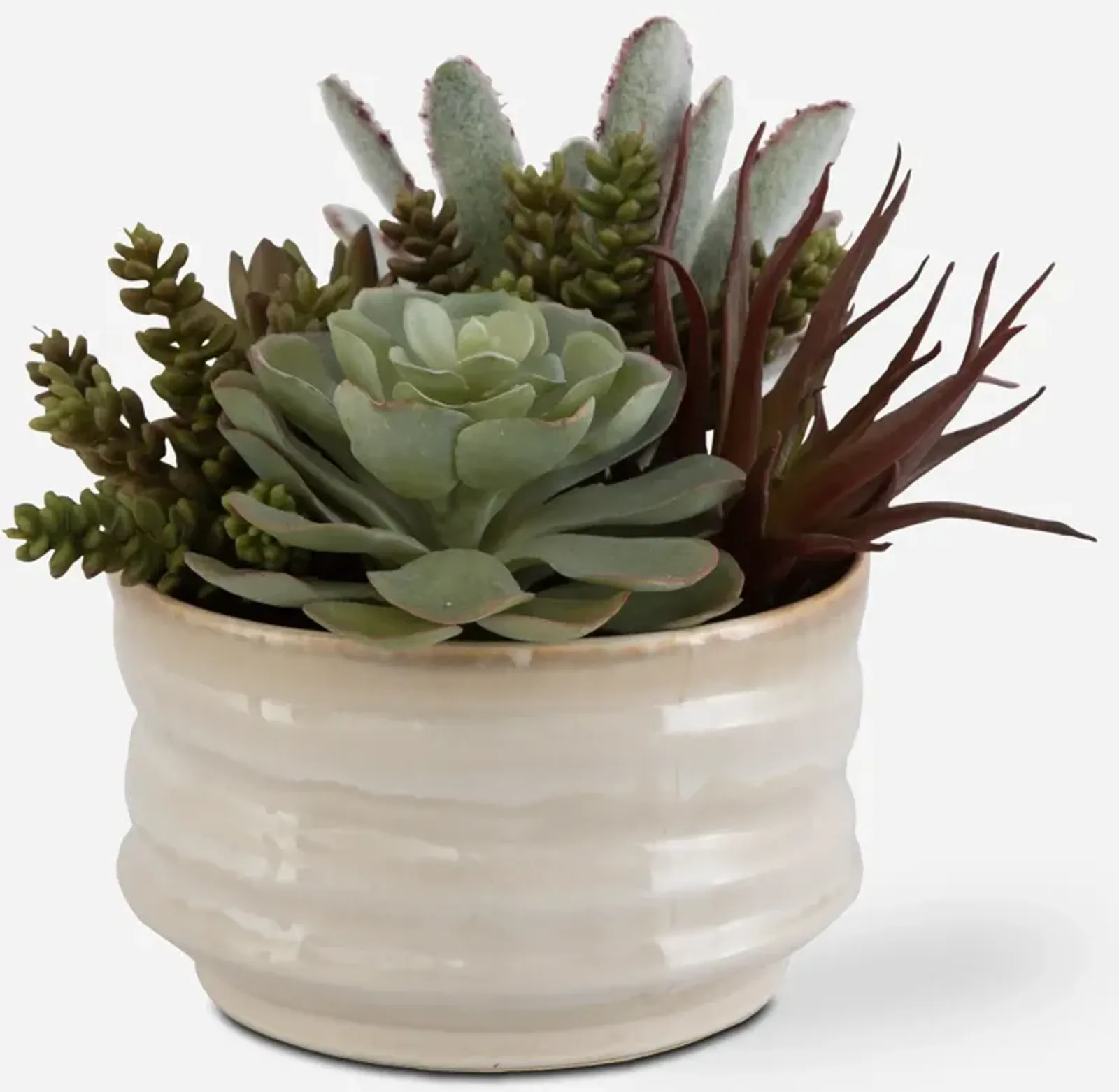 Mesa Succulent Accent