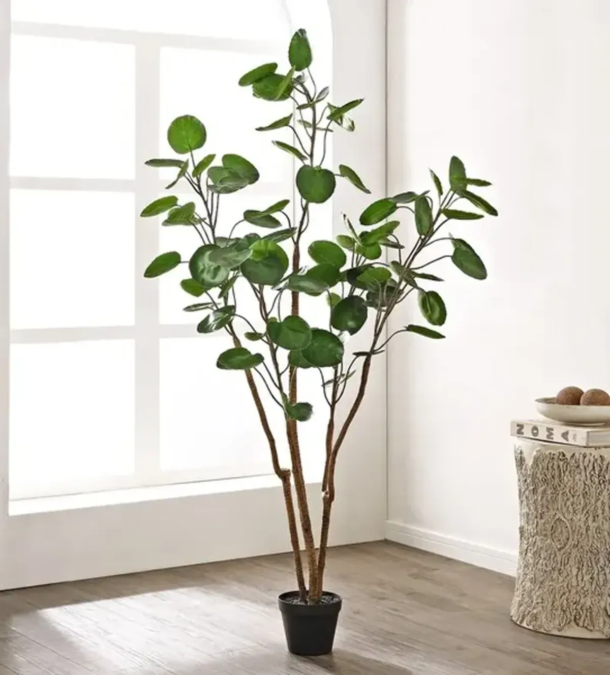 Faux Polyscias Potted Tree