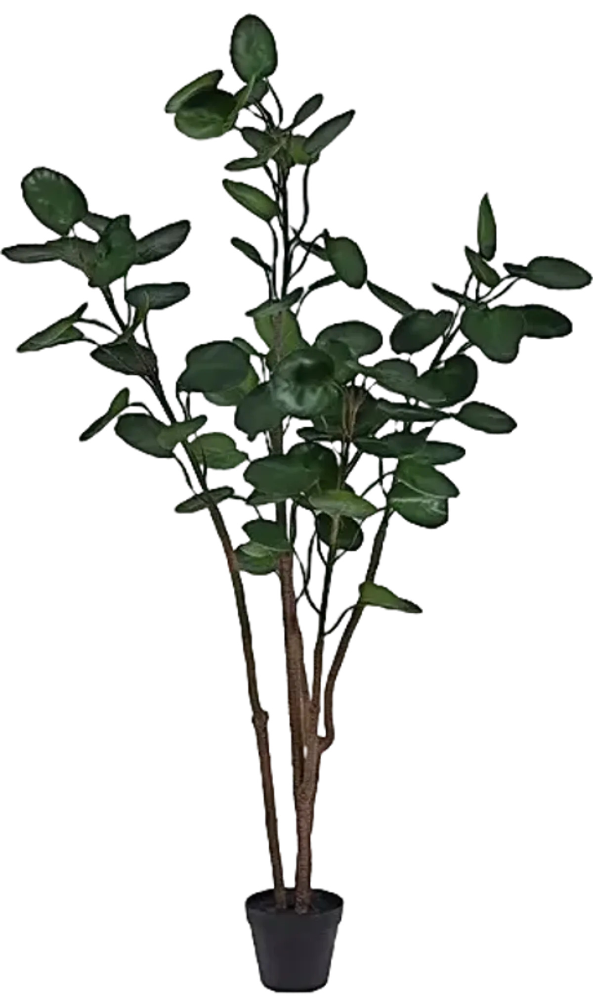 Faux Polyscias Potted Tree