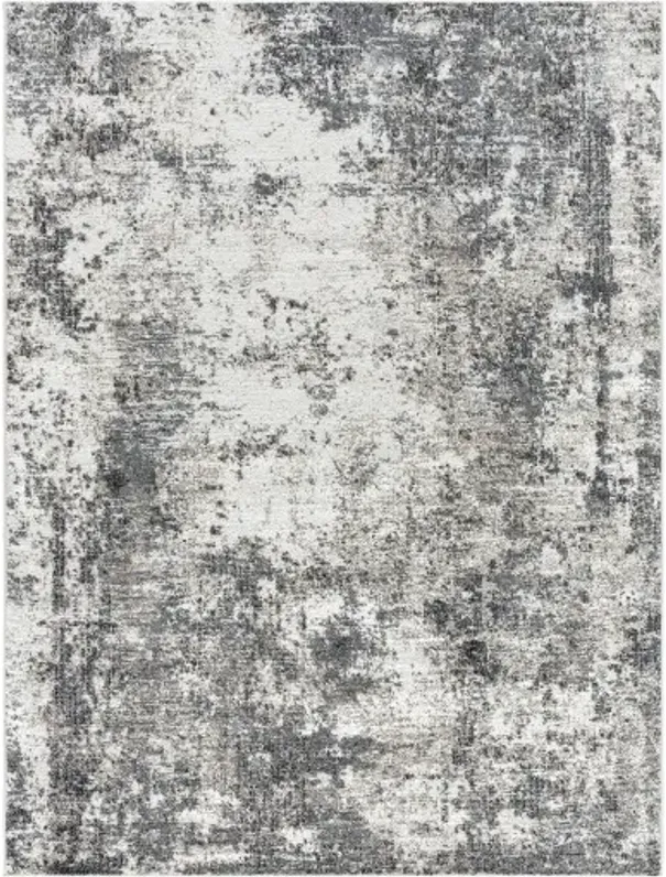 Merengue MRG-2305 7'10" x 10' Machine Woven Rug