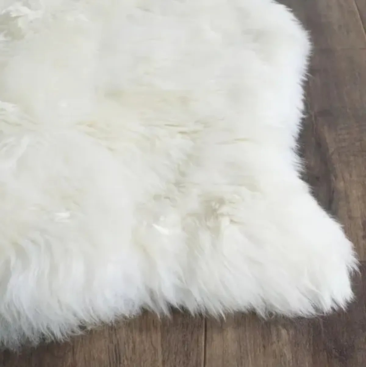 SHEEP SKIN 211  White 2' X 3' Accent Rug