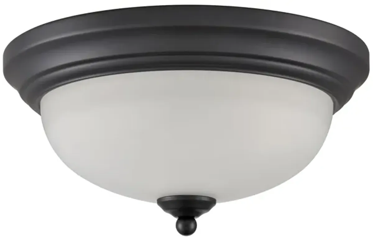 Basics 11" Wide 2-Light Flush Mount - Black