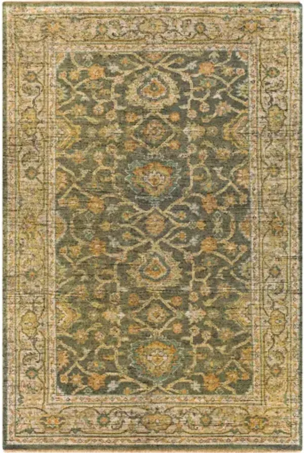 Reign 6' x 9' Rug