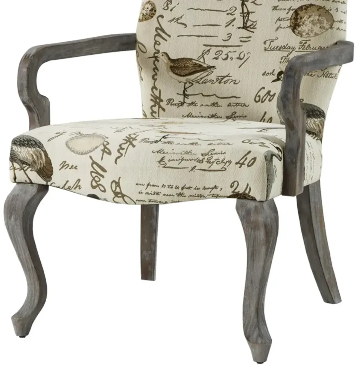 Madison Park Arnau Ivory Multi Accent chair