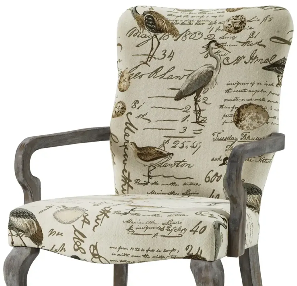 Madison Park Arnau Ivory Multi Accent chair