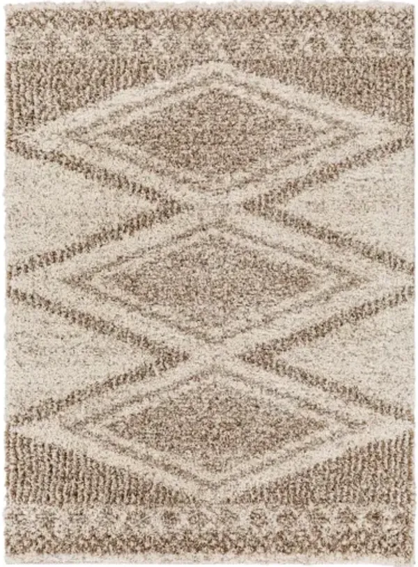 Capella shag 6'7" x 9' Rug