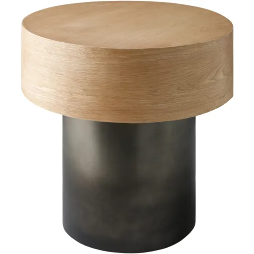 Russula RSU-001 22"H x 22"W x 22"D End Table