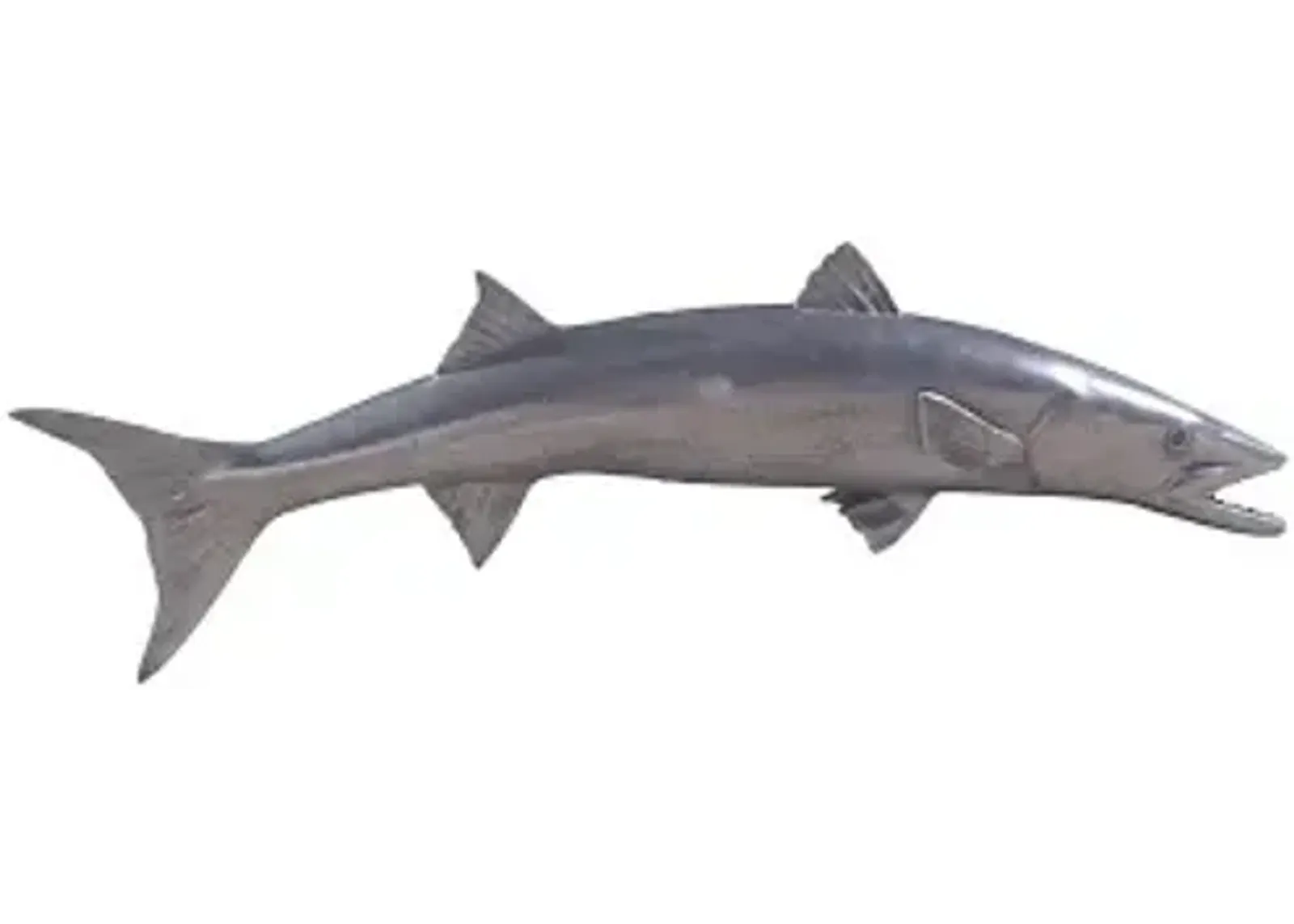 barracuda fish wall sculpture, resin, polished aluminum finish