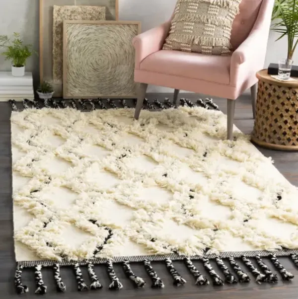 Apache 2'6" x 8' Rug