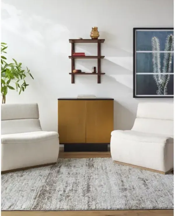 Andorra Plus ARP-2310 5'3" x 7'3" Machine Woven Rug