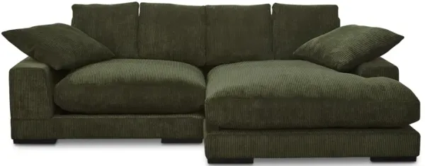 Plunge Sectional