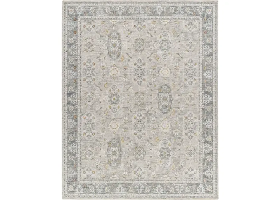 Dresden DRE-2325 6'7" x 9'6" Machine Woven Rug