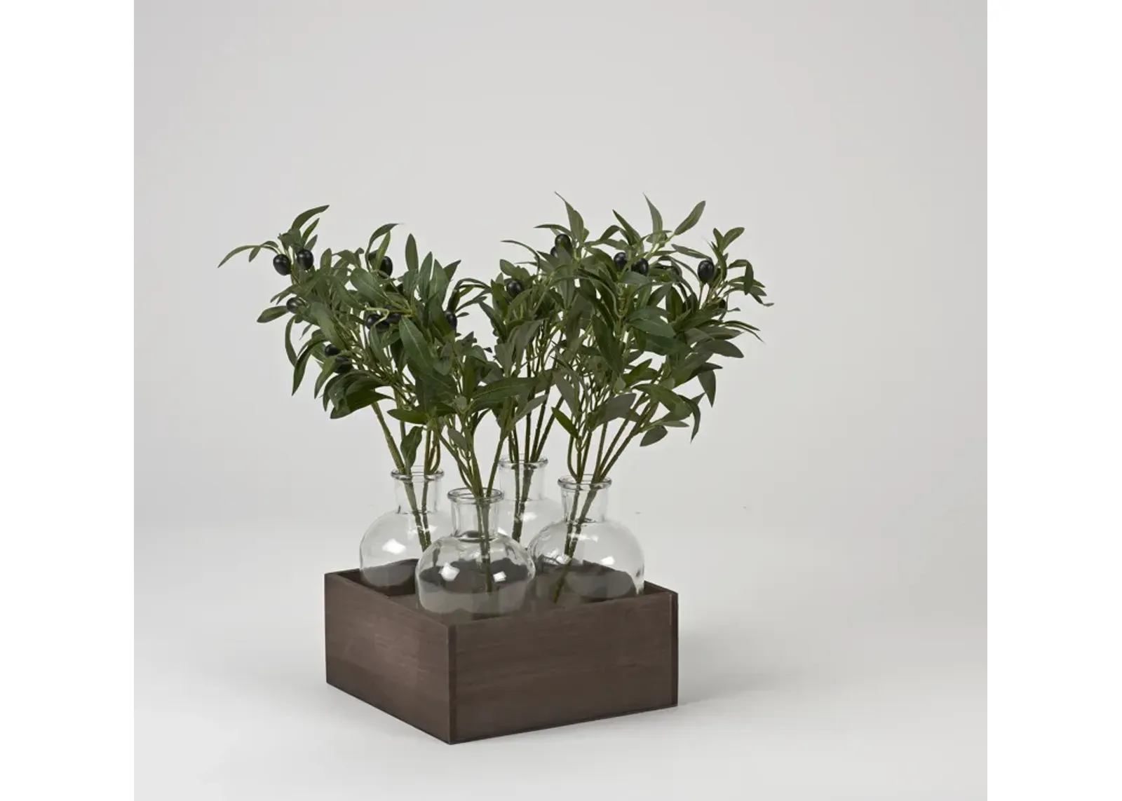 Olive Branches in Glass Bottles in Wood Crate