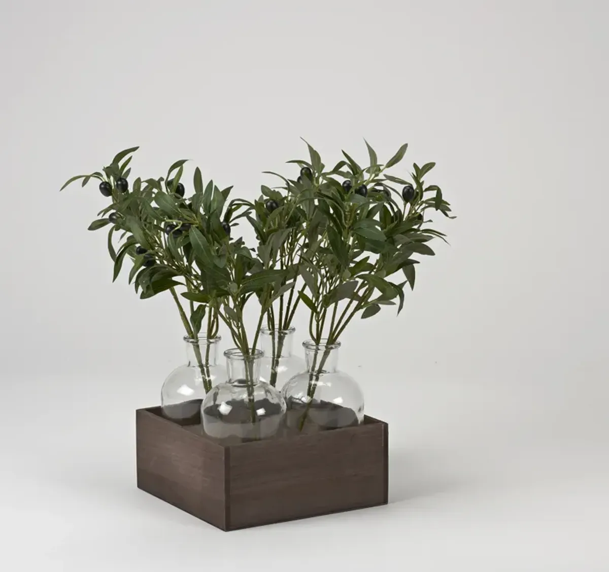 Olive Branches in Glass Bottles in Wood Crate