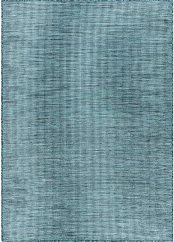 Pasadena 5'1" x 7' Rug