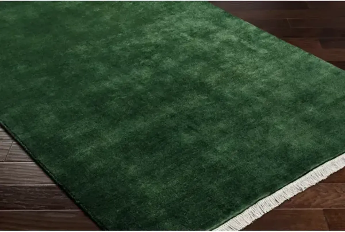 Evergreen EVG-2313 10' x 14' Hand Made Rug