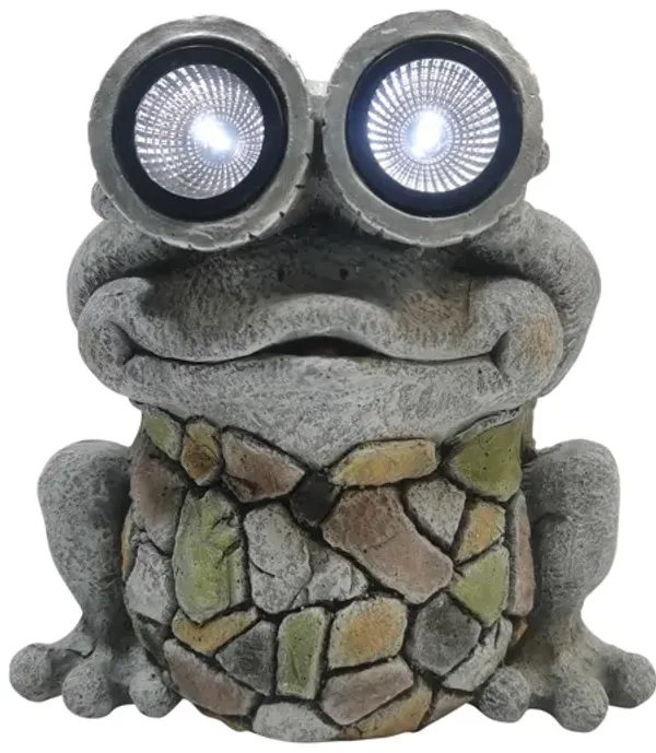 12" Frog With Solar Goggles, Multi
