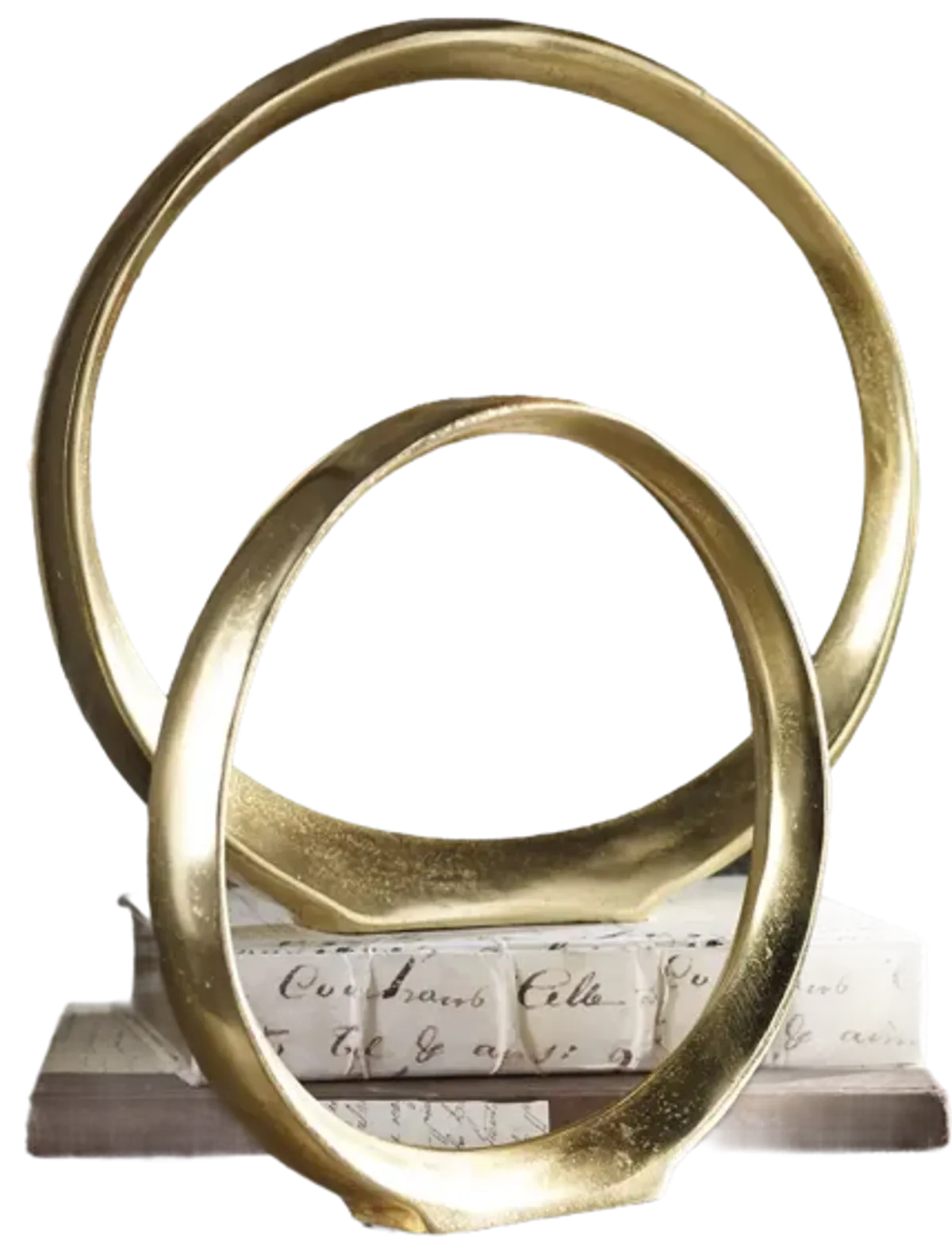 Jimena Ring Sculptures - Set of 2